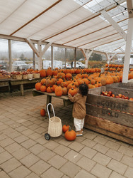 Thanksgiving Thrift Thrills